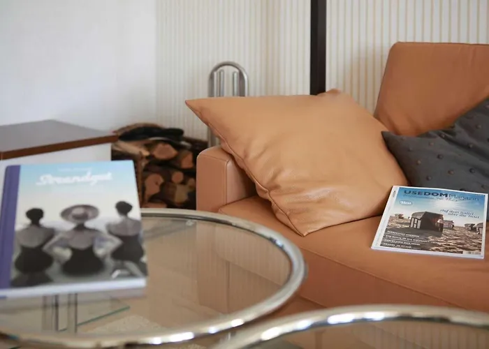 Duene25 * צינוביץ